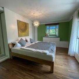 Maisonette mit See und Schlosssicht，位于Salenstein的酒店