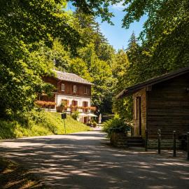 Albergo Ristorante Lo Scoiattolo，位于坎皮纳的酒店