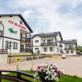 Sat de Vacanta Martisorul Cacica，位于苏恰瓦的酒店