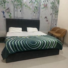 Skyline hotel，位于Barnāla的酒店