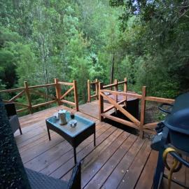 Refugio Minicabaña en medio del bosque con Tinaja opcional，位于瓦尔迪维亚的酒店