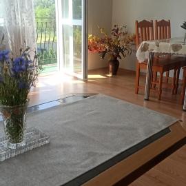 Zielony Azyl large 2 bedroom apartment with balcony and free parking，位于瓦斯克的酒店