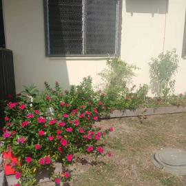 AAIZ Homestay，位于Labasa Airport的酒店