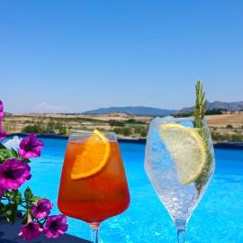 Su Arghentu Country Hotel，位于Laerru的酒店