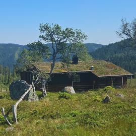 Authentic Secluded Mountain Gem in Telemark，位于Smørklepp的酒店