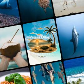 VelaaOlhu - Turtle Hive Thulusdhoo，位于图鲁斯杜的酒店