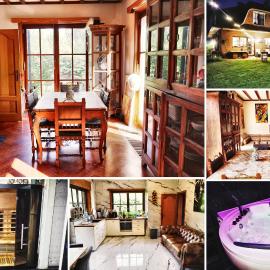 Villa & Wellness Area Jacuzzi Sauna Massage Table，位于布鲁塞尔的酒店