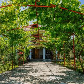 guest hause "villa"，位于Dushetʼi的酒店