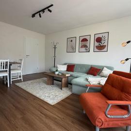 Helle 3-Zimmer-Apartments Offenburg, Messe & Europa-Park，位于奥芬堡的酒店