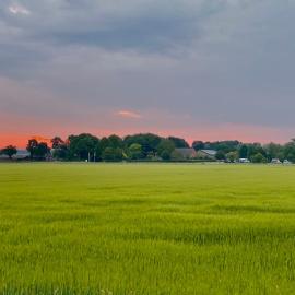 Cozy house in beautiful rural area!，位于博赫尔的酒店