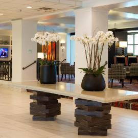 Holiday Inn Houston S - NRG Area - Med Ctr by IHG，位于休斯顿的酒店