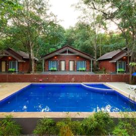 Rain Forest Jungle Stay，位于Kurandi的酒店