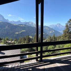 Beautiful chalet with exceptional views, very quiet，位于格里翁的酒店