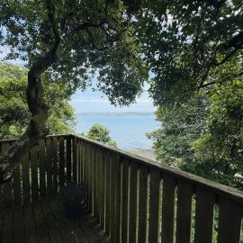 Harbour view Tree House，位于科芙的酒店