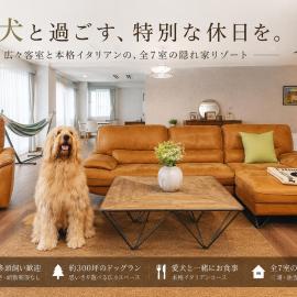 DokiDoggie油壺globe，位于三浦市的酒店