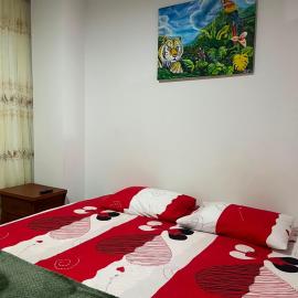 Tayra Living Suites，位于莫科阿的酒店