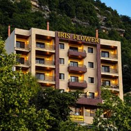 Iris Flower Hotel,位于杰津的酒店