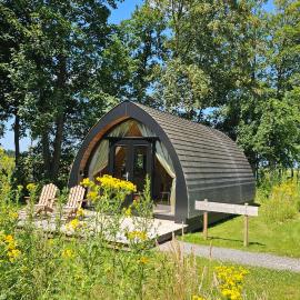 Tiny House De Hagekrûper，位于韦斯特吉斯特的酒店