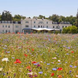 Coworth Park - Dorchester Collection，位于阿斯科特的酒店