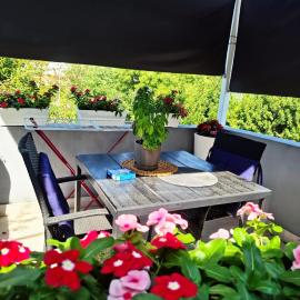 Apartman Jadranka，位于Rogotin的酒店