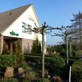 Hotel Restaurant Het Roode Hert，位于达尔夫森的酒店