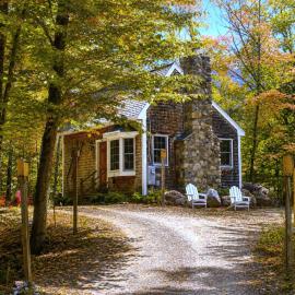 Private Cabin on 1.7 acres w/ Fireplace White Mtns，位于因特韦尔的酒店
