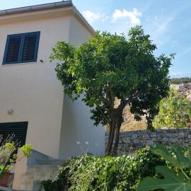 Hilly house - Vis，位于维斯的酒店