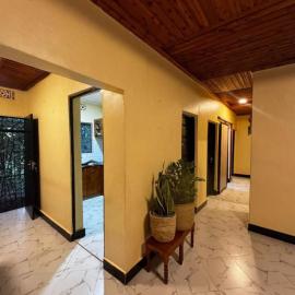 Paki hotels moshi