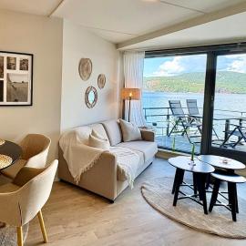 Waterfront Apartment, Balcony, Beach, Near Oslo，位于Askjer的酒店
