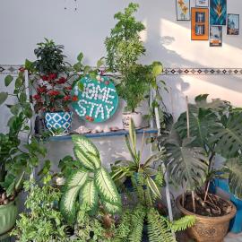 Ánh Dương Homestay - Coastal stop - Just 2 mins walking to Eo Gio，位于归仁的酒店