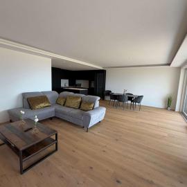 Les Terrasses de Lavaux-4 Luxe & Détente Terrasse Jardin Piscine Vue Montagnes Lavaux，位于Puidoux的酒店