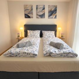 Basel Haven101 Modern Home Free Parking Wifi，位于明兴施泰因的酒店