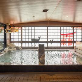 Dormy Inn Hiroshima Annex，位于广岛的酒店