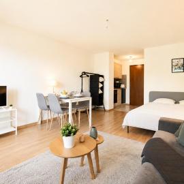 Charming and comfortable studio ideally located in Saillon，位于萨永的酒店