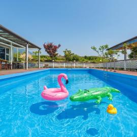 Yangyang Monti Pet Spa Pension，位于襄阳郡的酒店