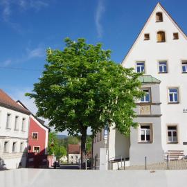 Hotelgasthof Bayerischer Hof，位于苏尔茨巴赫-罗森贝格的酒店