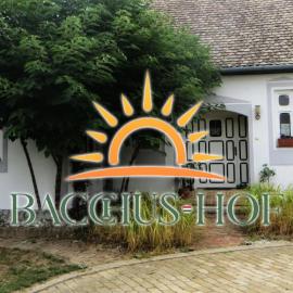 Bacchus-hof，位于Báta的酒店
