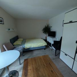 Airport Private Apartment, Advance Registration, No Reception, Self Check-in, Calm Environment, Non-Smoking Guests，位于Kněžívka的酒店