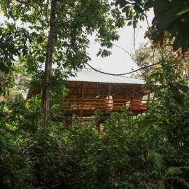 Madre Selva Eco Lodge，位于努基的酒店