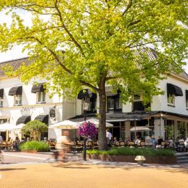 De Zwaan Delden，位于代尔登的酒店