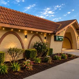 Grapevine Inn，位于洛迪的酒店
