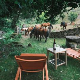 Casa Grande de Covas-Rural Boutique & Agroturismo en la Ribeira Sacra，位于Taboada的酒店