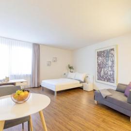 Apartmenthaus zum Trillen Basel City Center