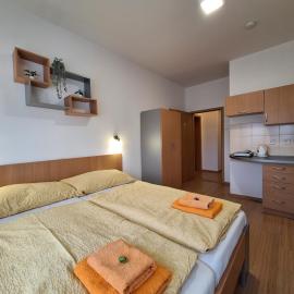 Hotel & Hostel Děčín，位于德辛的酒店