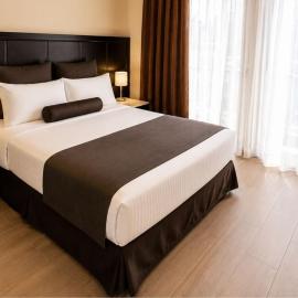 Hotel San Francisco，位于圣路易斯波托西的酒店