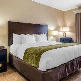 Comfort Inn & Suites Scott-West Lafayette，位于Scott的酒店