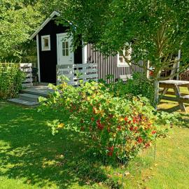 Countrycabin Bergslagen stuga，位于Ramsberg的酒店