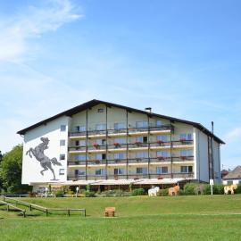 Hotel Reitzentrum Hausruckhof e U，位于昂弗旺-因豪斯霍克的酒店