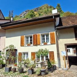 18th C Cottage near Basel, Hiking, Business, Couples, Families, Groups, Parking, Fast WiFi, Jura Mountains，位于Waldenburg的酒店