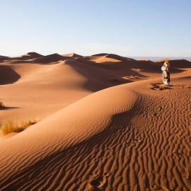 Arabian Horse camp，位于Bidiyah的酒店